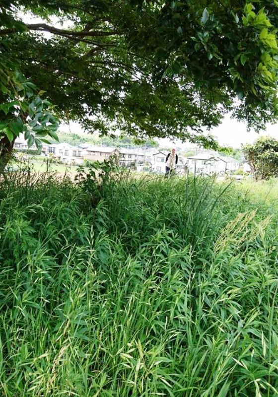 Land for Sale in Yachimata, Chiba - 114 tsubo Corner Lot - Thumbnail 2