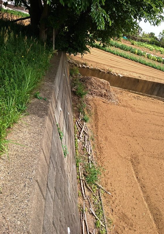 Land for Sale in Yachimata, Chiba - 114 tsubo Corner Lot - Thumbnail 3