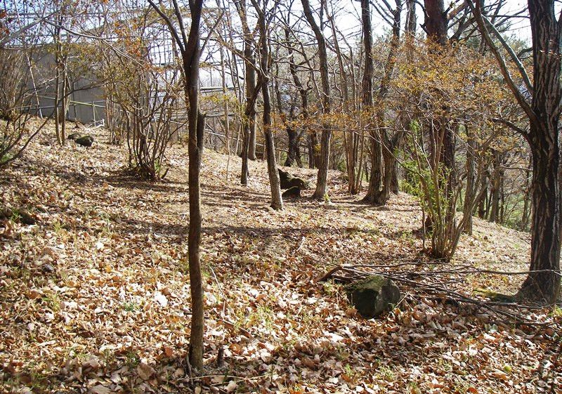 968 sqm Vacant Building Plot in Nasu Highland Area, Tochigi - Thumbnail 4
