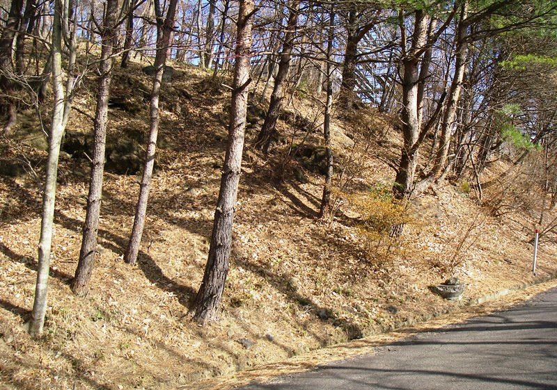 968 sqm Vacant Building Plot in Nasu Highland Area, Tochigi - Thumbnail 3