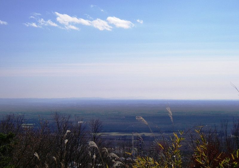 968 sqm Vacant Building Plot in Nasu Highland Area, Tochigi - Thumbnail 2