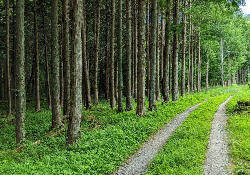 Land for Sale in Hokuto City, Yamanashi - 438 sqm - Thumbnail 4