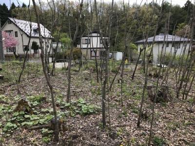 Registration number 074/Reception number 110 Fukui - Property details - Nagano Prefecture Iizuna Town Vacant House Bank Site — Image 3, Iizuna, Nagano