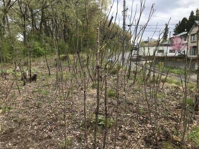 Registration number 074/Reception number 110 Fukui - Property details - Nagano Prefecture Iizuna Town Vacant House Bank Site — Image 1, Iizuna, Nagano