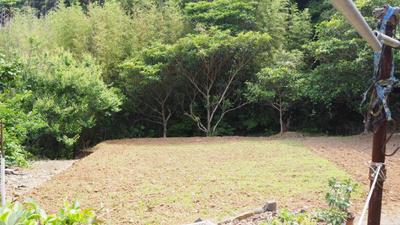 31: A 10-minute walk from Tsutsuki Beach | Ikishima Gurashi [Iki City Official] — Image 3, Iki City, Fukuoka