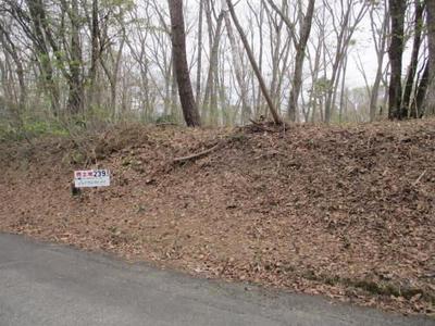 Registration number 067/Reception number 111 Higashikogen - Property details - Nagano Prefecture Iizuna Town Vacant House Bank Site — Image 1, Iizuna, Nagano