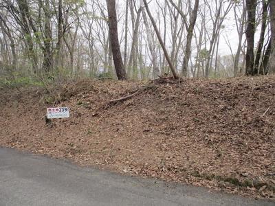 Registration number 067/Reception number 111 Higashikogen - Property details - Nagano Prefecture Iizuna Town Vacant House Bank Site — Image 4, Iizuna, Nagano