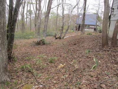 Registration number 067/Reception number 111 Higashikogen - Property details - Nagano Prefecture Iizuna Town Vacant House Bank Site — Image 3, Iizuna, Nagano