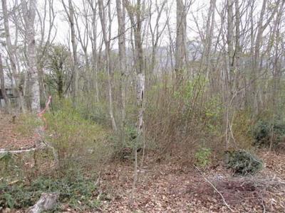 Registration number 067/Reception number 111 Higashikogen - Property details - Nagano Prefecture Iizuna Town Vacant House Bank Site — Image 2, Iizuna, Nagano