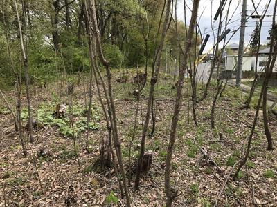 Registration number 074/Reception number 110 Fukui - Property details - Nagano Prefecture Iizuna Town Vacant House Bank Site — Image 4, Iizuna, Nagano