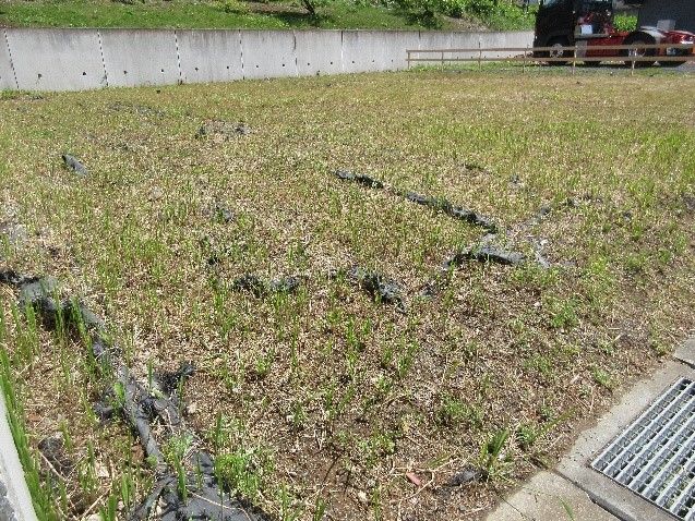 Land for Sale in Hitachiota City, Ibaraki - 215 sqm - Thumbnail 2