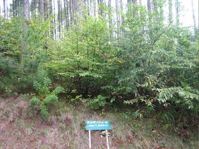 Karamatsunooka 62 - Property Details - Nagano Prefecture Iizuna Town Vacant House Bank Site — Image 1, Iizuna, Nagano