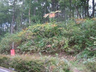 Karamatsunooka 5 - Property Details - Nagano Prefecture Iizuna Town Vacant House Bank Site — Image 1, Iizuna, Nagano