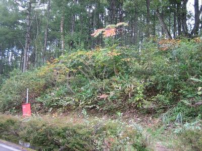 Karamatsunooka 5 - Property Details - Nagano Prefecture Iizuna Town Vacant House Bank Site — Image 1, Iizuna, Nagano