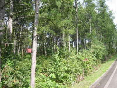 Karamatsunooka 51 - Property Details - Nagano Prefecture Iizuna Town Vacant House Bank Site — Image 1, Iizuna, Nagano