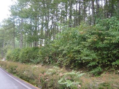 Karamatsunooka 65 - Property Details - Nagano Prefecture Iizuna Town Vacant House Bank Site — Image 1, Iizuna, Nagano