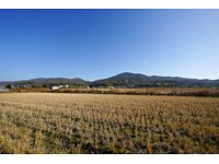 Agricultural Land for Sale in Sakurai City, Nara - 2,538 sqm - Thumbnail 2