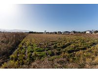 Agricultural Land for Sale in Sakurai City, Nara - 2,538 sqm - Thumbnail 3