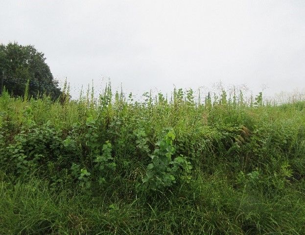 Vacant Land for Sale in Hitachiota City, Ibaraki - 678 sqm - Thumbnail 2