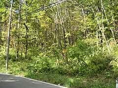 Land for Sale in Shiojiri, Nagano - 474.76 sqm - Thumbnail 2