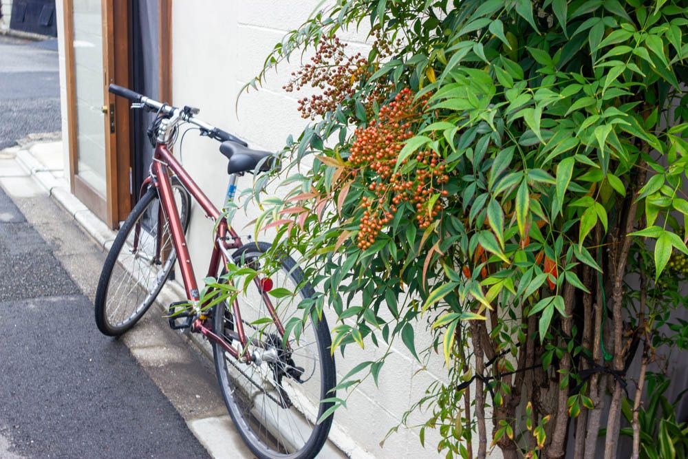 Unique Small Building for Sale Near Kamo River Delta, Kyoto - Thumbnail 2