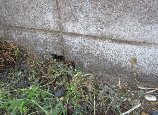 389 sqm Land for Sale in Hitachiōta, Ibaraki - Thumbnail 3