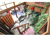 2DK Detached House in Kokonoe Town, Oita - 44.69 sqm - Thumbnail 3