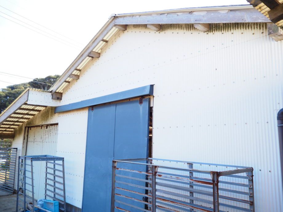Spacious House for Rent or Sale in Iki City, Nagasaki - Thumbnail 2