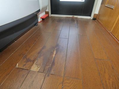 Living in Izu | Emigration, domiciliation support site of Izu City — Image 4, Izu, Shizuoka