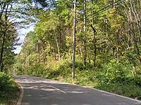 474 sqm Land for Sale in Shiojiri, Nagano - Thumbnail 2