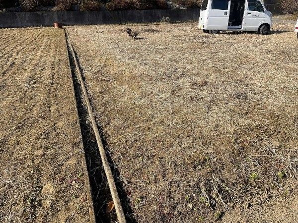 Vacant Land for Sale in Hitachiota, Ibaraki - 359 sqm - Thumbnail 4