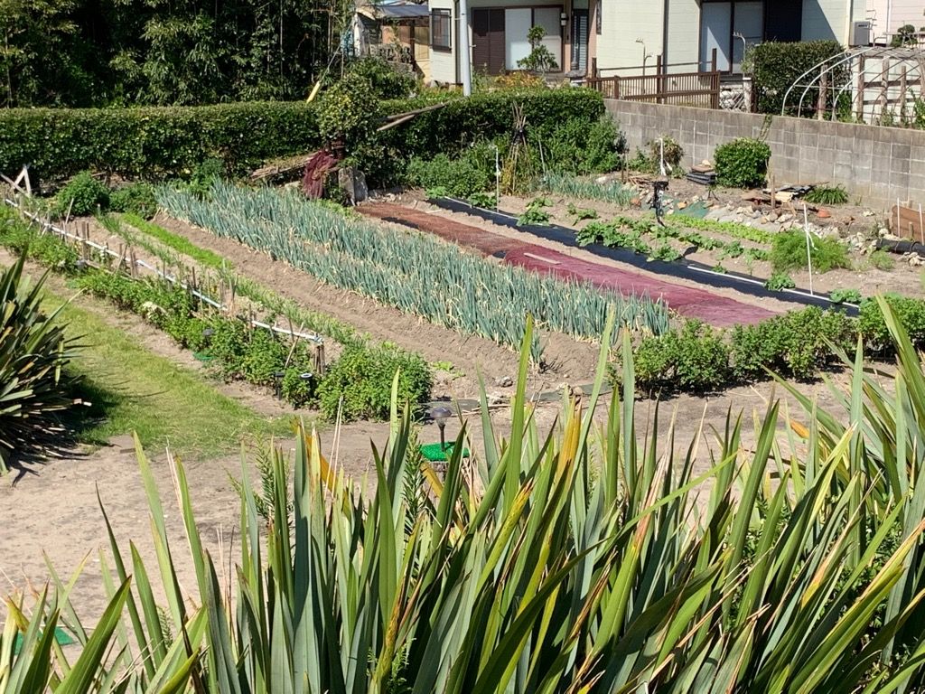 424sqm Vacant Land for Sale in Isohara, Kitaibaraki - Thumbnail 2