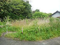 264 sqm Land for Sale in Minamiboso, Chiba - Chikura Town - Thumbnail 2