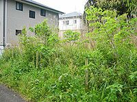 264 sqm Land for Sale in Minamiboso, Chiba - Chikura Town - Thumbnail 3