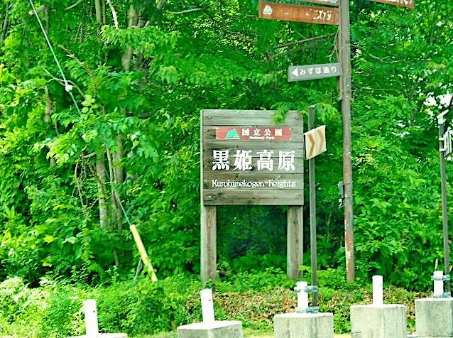 Vacation Land for Sale in Kurohime, Shinano Town, Nagano – 620 m² - Thumbnail 2