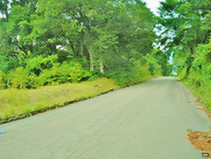 Vacation Land with Mount Myoko Views in Niigata's Resort Area - Thumbnail 3