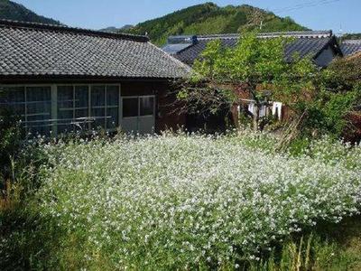 Traditional House Near Shimanto River, Matsuno Town, Ehime — Image 1, Matsuno, Ehime