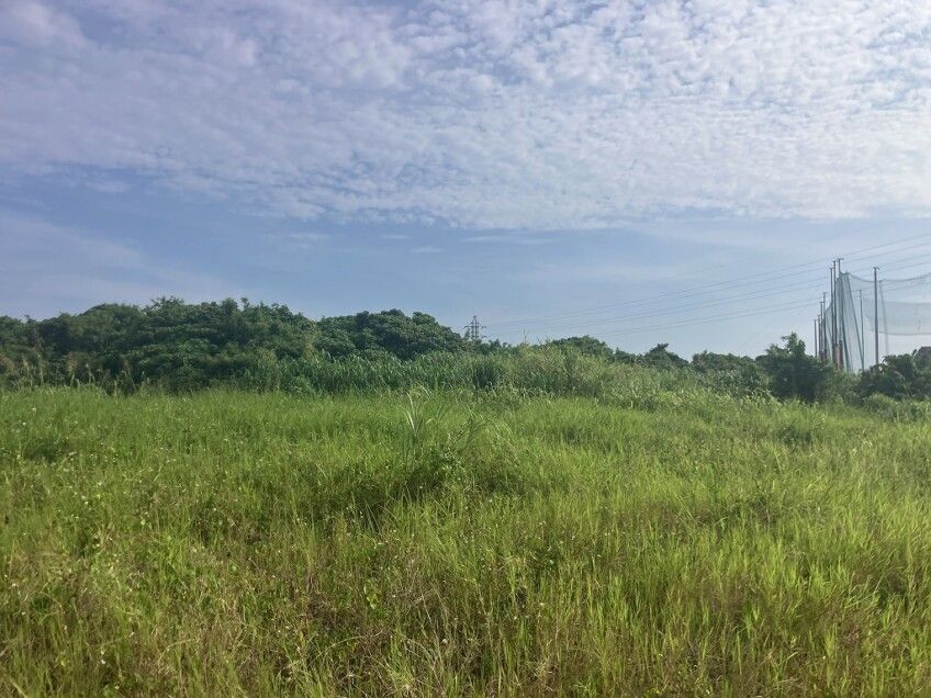 3382 sqm Land for Sale in Miyakojima, Okinawa - Thumbnail 3