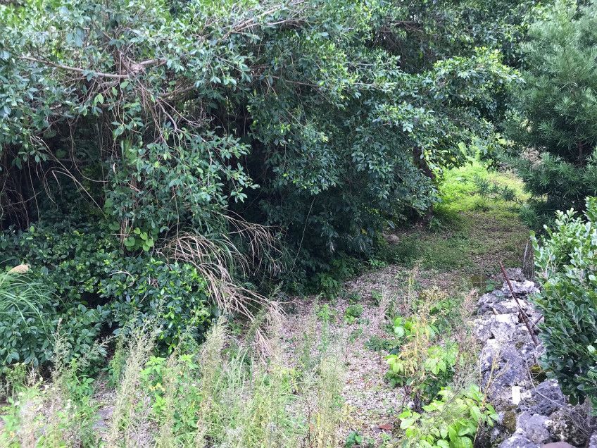 Land for Sale in Miyakojima City, Okinawa - 101.29 sqm - Thumbnail 3
