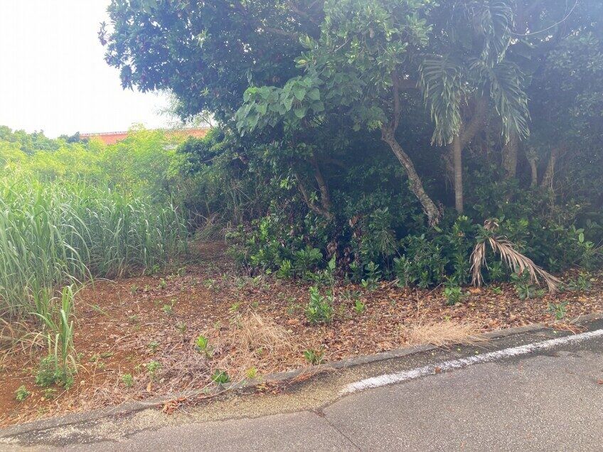 Land for Sale in Miyakojima City Okinawa 372 sqm - Thumbnail 4