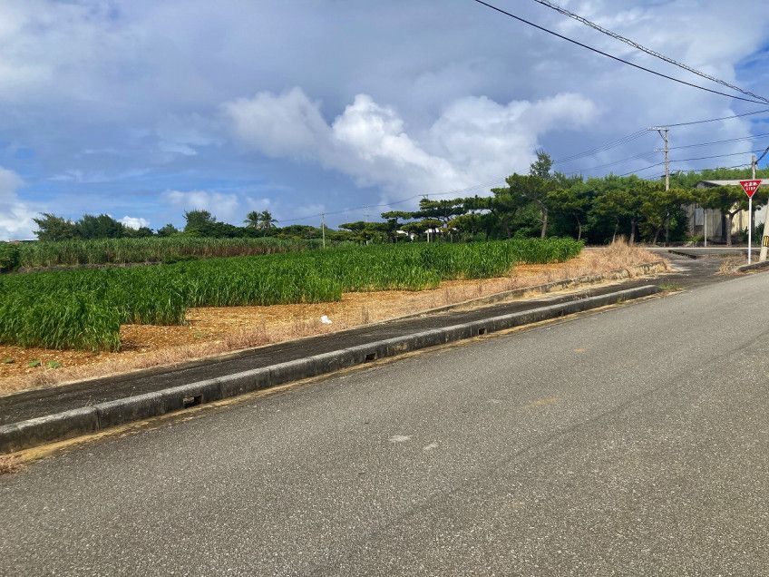 Large 6,682 sqm Land for Sale in Irabu, Miyakojima - Thumbnail 4