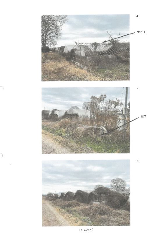 Farmland for Auction in Ohtawara, Tochigi - 11,896 sqm - Thumbnail 2