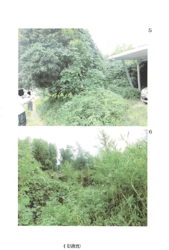 Land Parcels for Auction in Maebashi, Gunma - Thumbnail 3