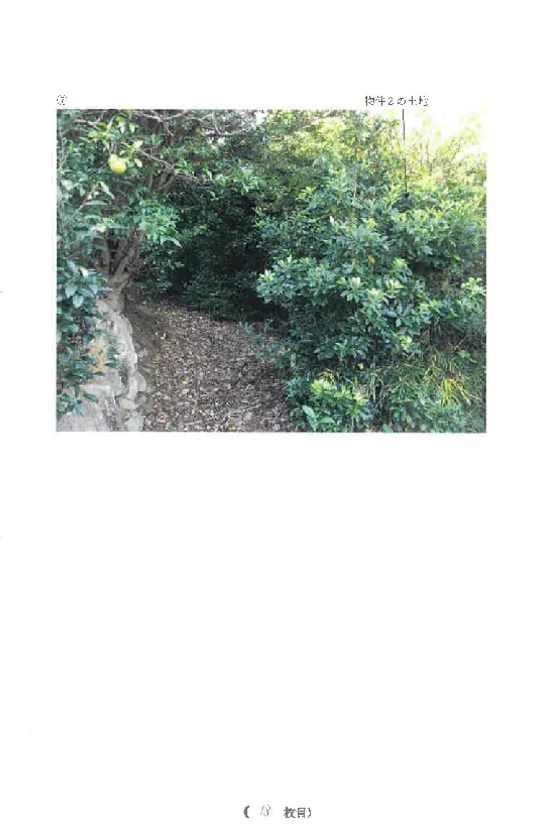 Land and Building Auction in Yugawara, Kanagawa - Thumbnail 4