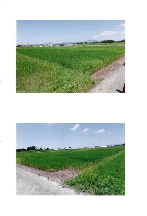 991m² Farmland Auction in Toyohashi, Aichi - Thumbnail 2