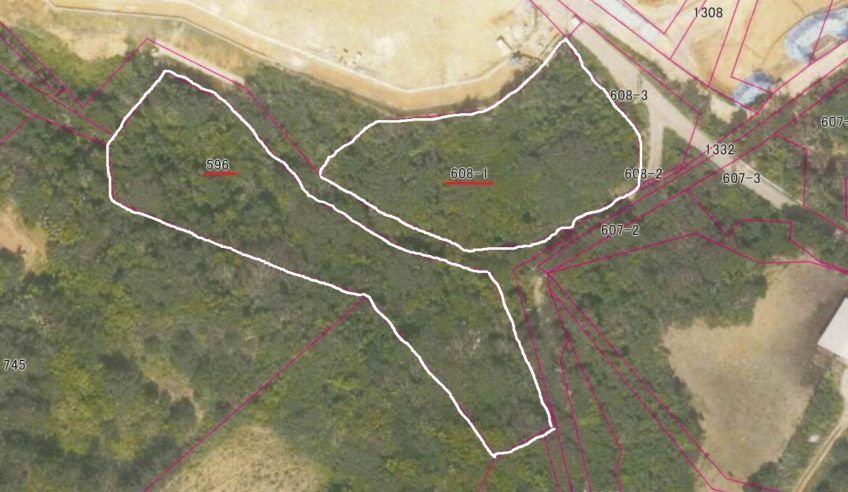 Land for Sale in Ishigaki, Okinawa – 6308 sqm - Thumbnail 3