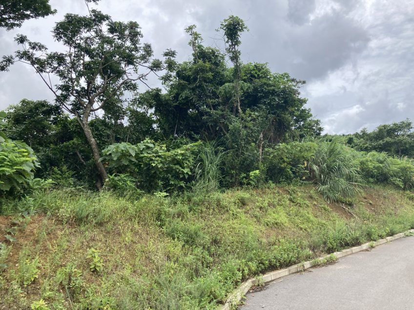Land for Sale in Ishigaki, Okinawa – 6308 sqm - Thumbnail 2