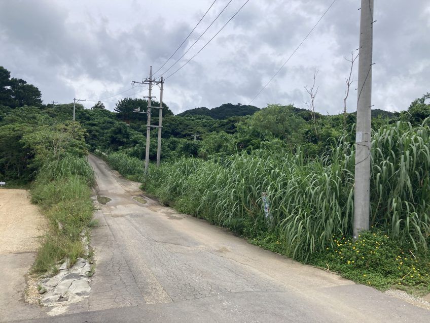 Land for Sale in Ishigaki, Okinawa – 6308 sqm - Thumbnail 4