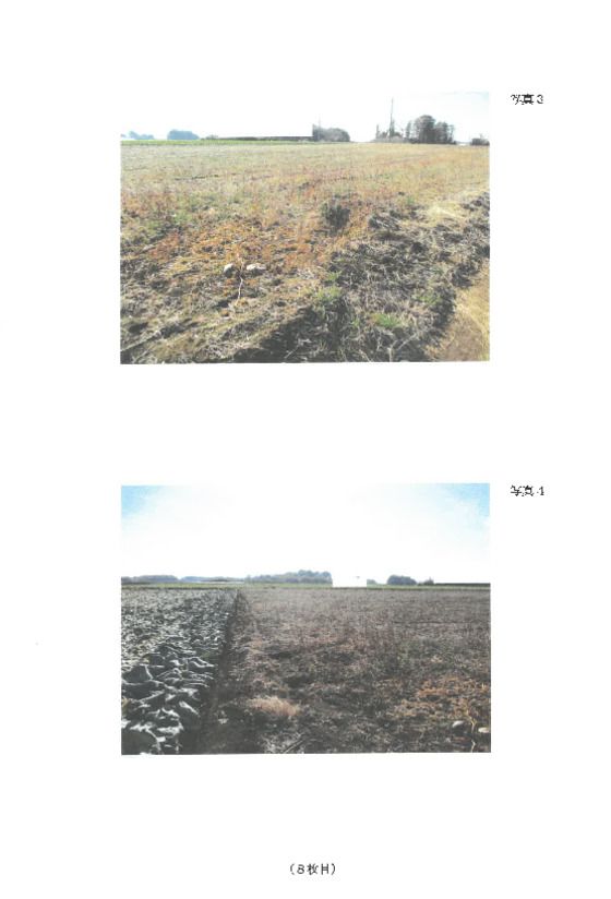 Farmland for Auction in Yachiyo, Ibaraki - 2,990 sqm - Thumbnail 2