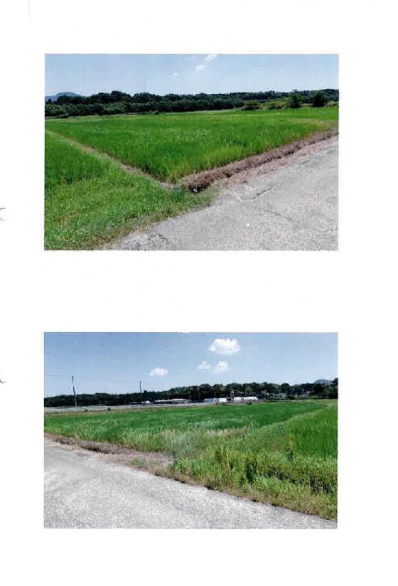 Farm Land for Auction in Toyohashi, Aichi - 991 sqm - Thumbnail 2